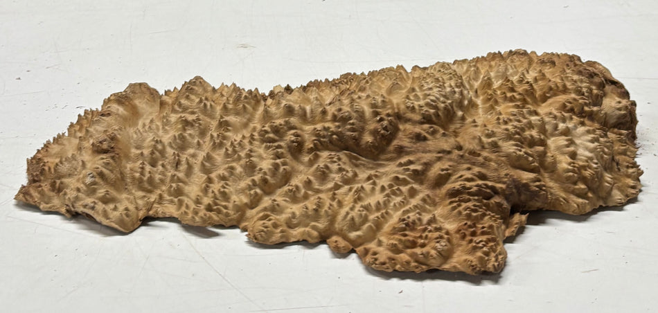 Brown Mallee Burl Blank 15" x 6" x 2" 3.4 Lbs #6325