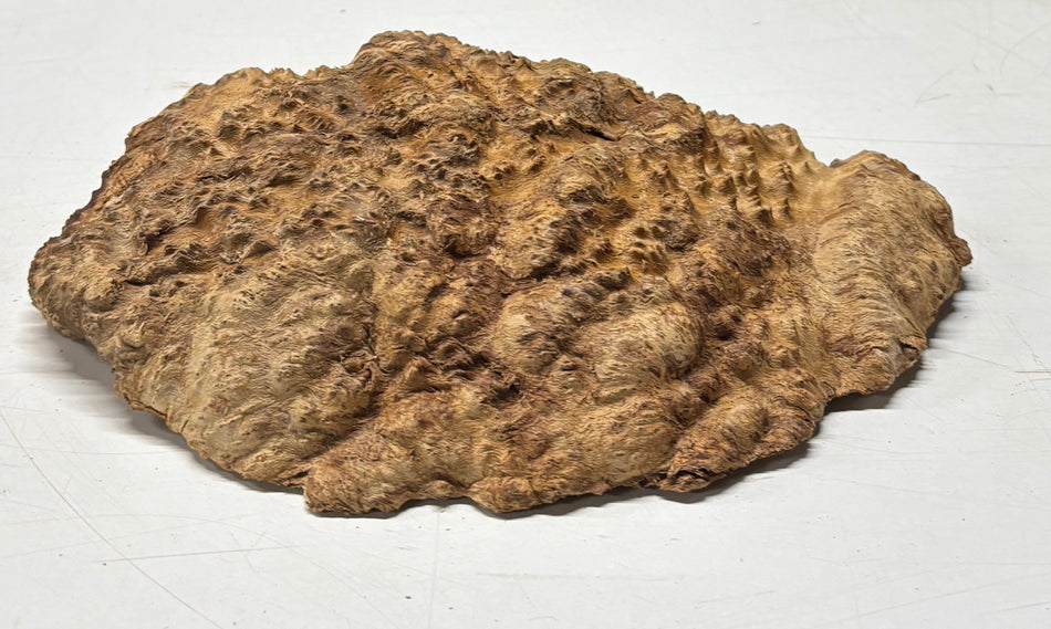 Brown Mallee Burl Blank 12" x 8" x 3" 5 Lbs #6326