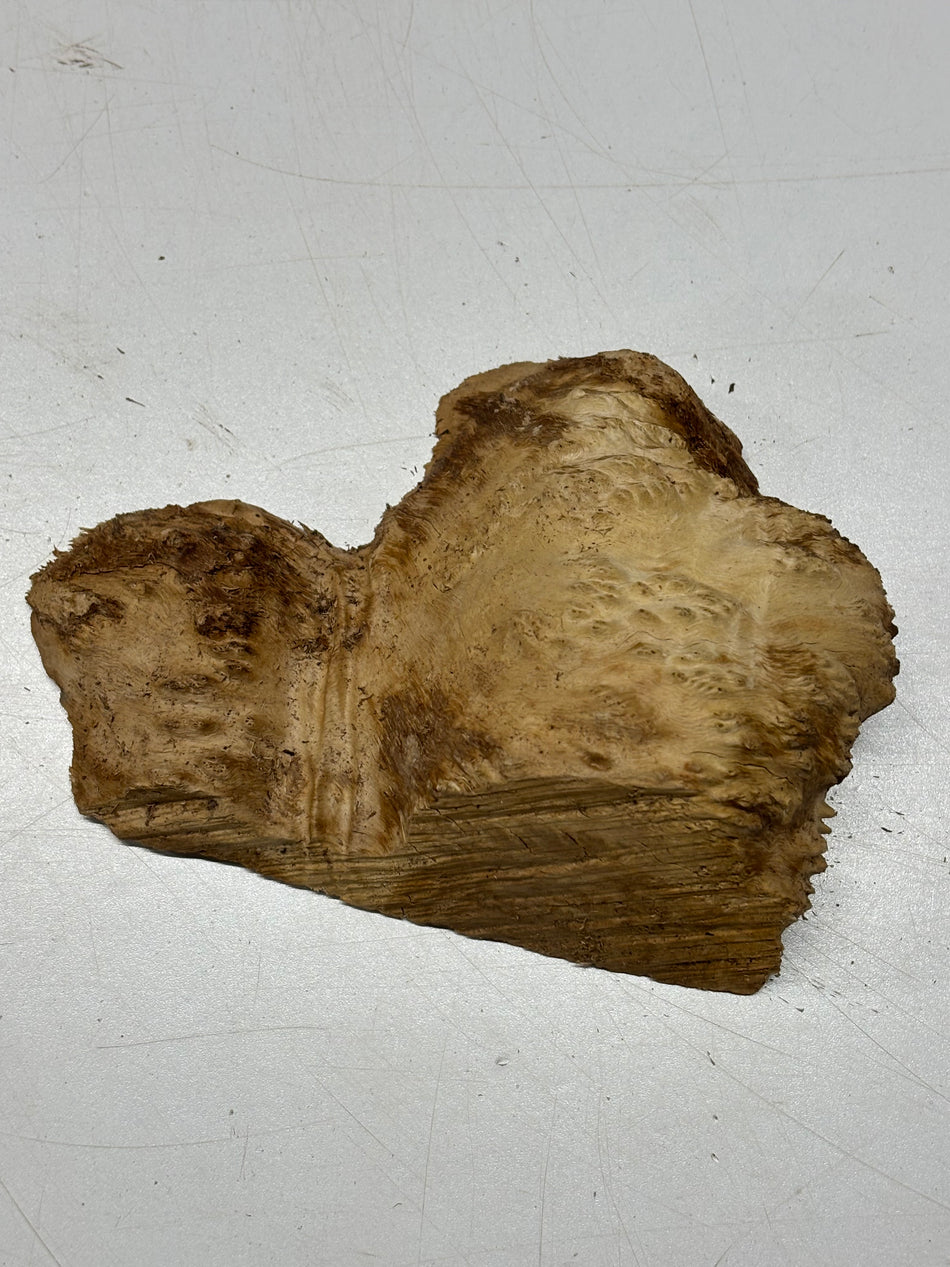 Brown Mallee Burl Blank 7" x 5" x 2" 1.2 Lbs #6328