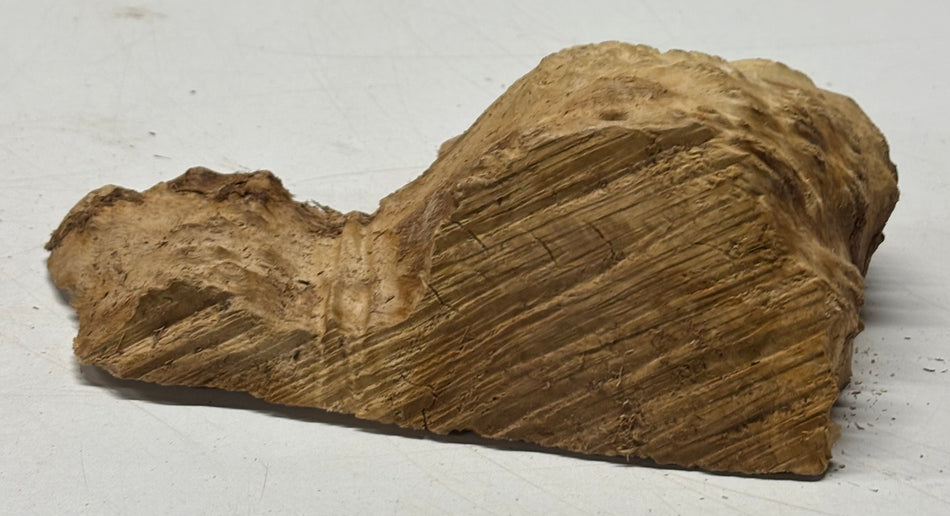 Brown Mallee Burl Blank 7" x 5" x 2" 1.2 Lbs #6328