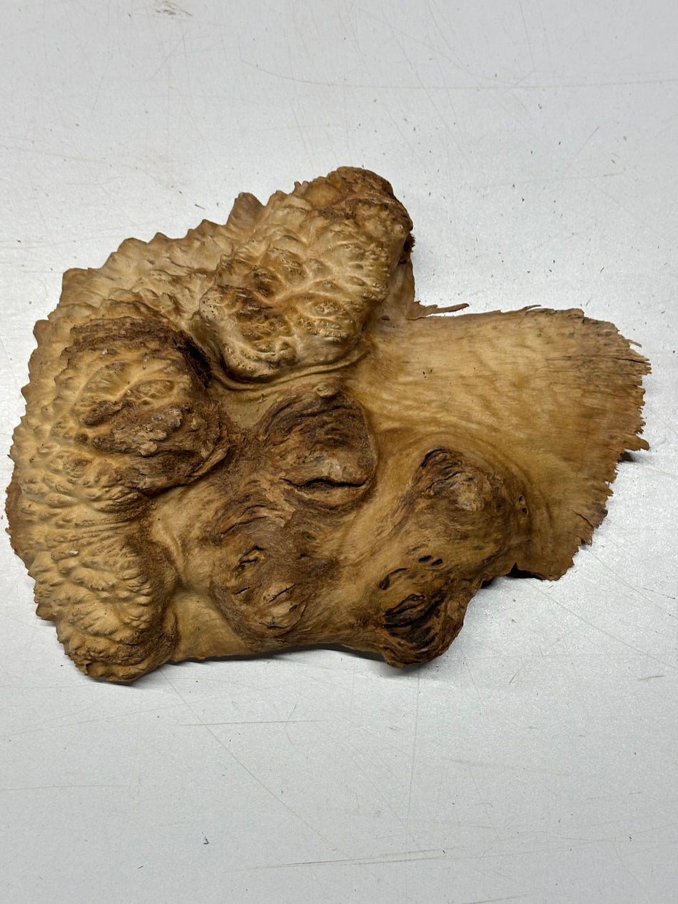 Brown Mallee Burl Blank 9" x 7" x 2" 2.1 Lbs #6330