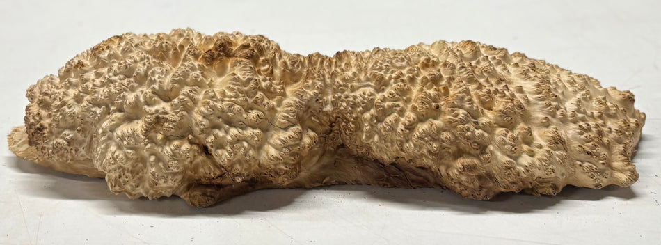 Brown Mallee Burl Blank 15" x 4.5" x 3" 4.5 Lbs #6331
