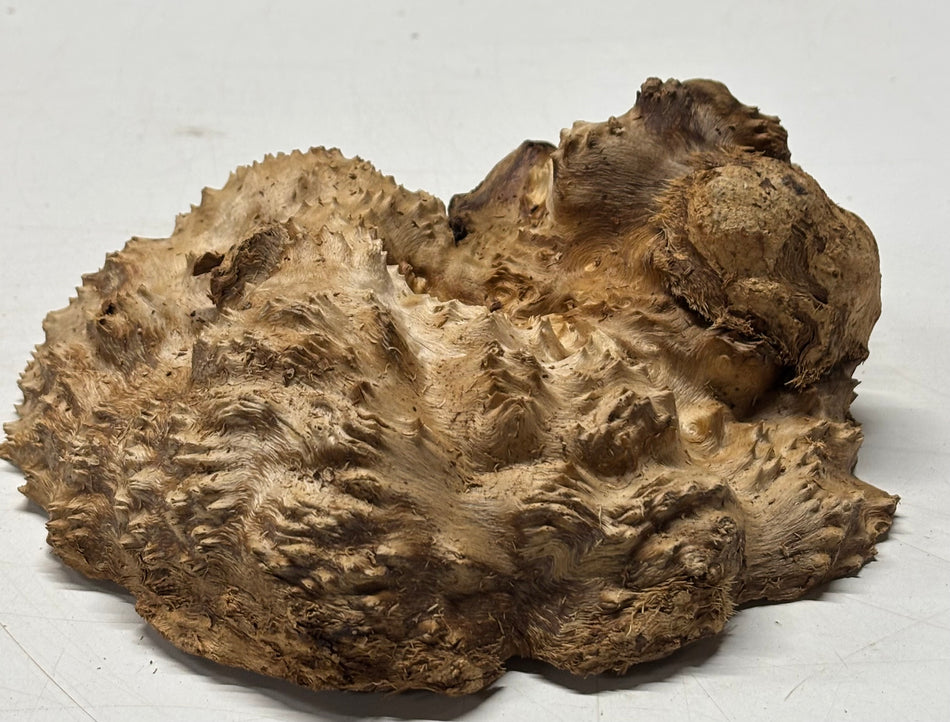 Brown Mallee Burl Blank 7.5" x 7" x 2" 2.4 Lbs #6339