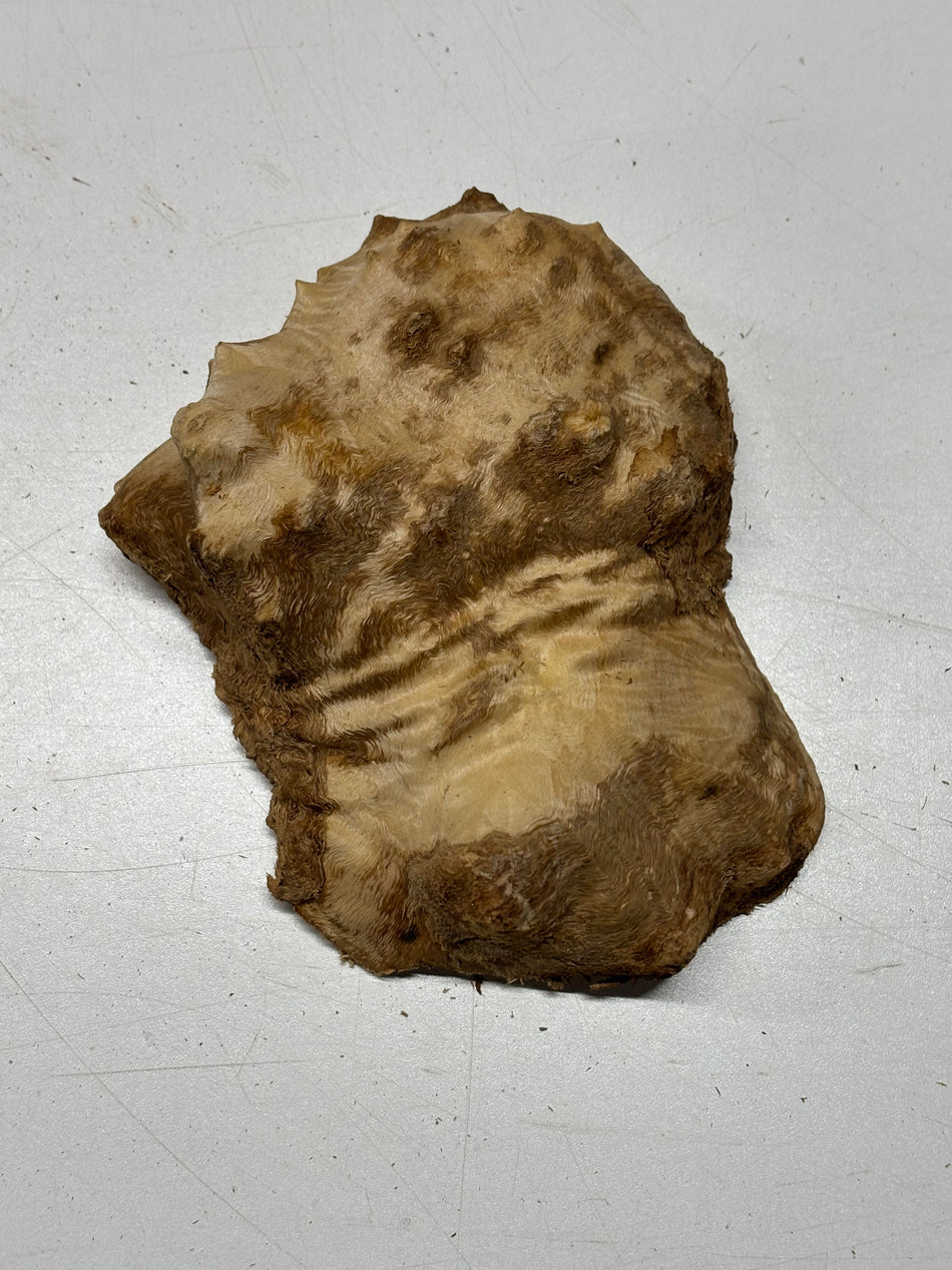 Brown Mallee Burl Blank 7" x 5" x 3" 1.7 Lbs #6366
