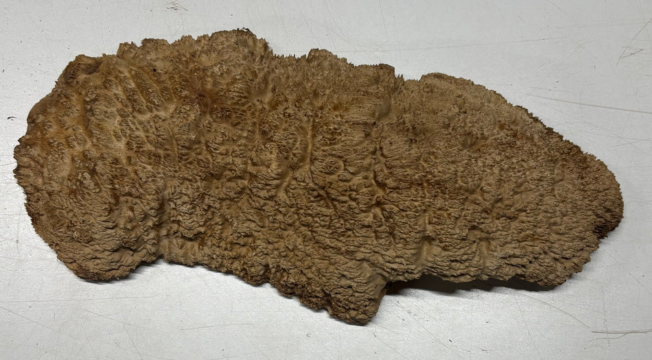 Brown Mallee Burl Blank 16.5" x 7" x 1.5" 4.1 Lbs #6375
