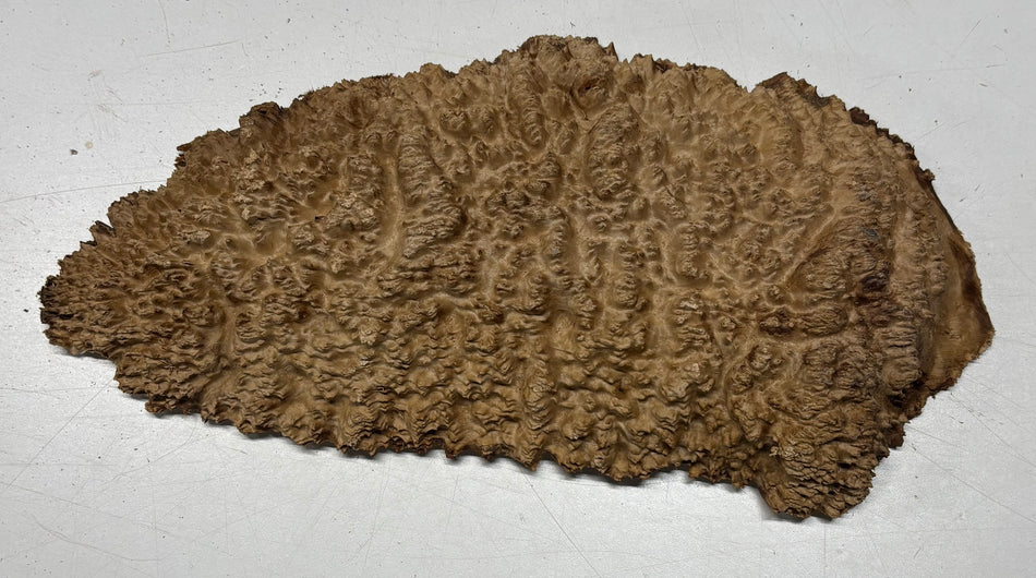 Brown Mallee Burl Blank 15" x 7" x 1.5" 4.1 Lbs #6380