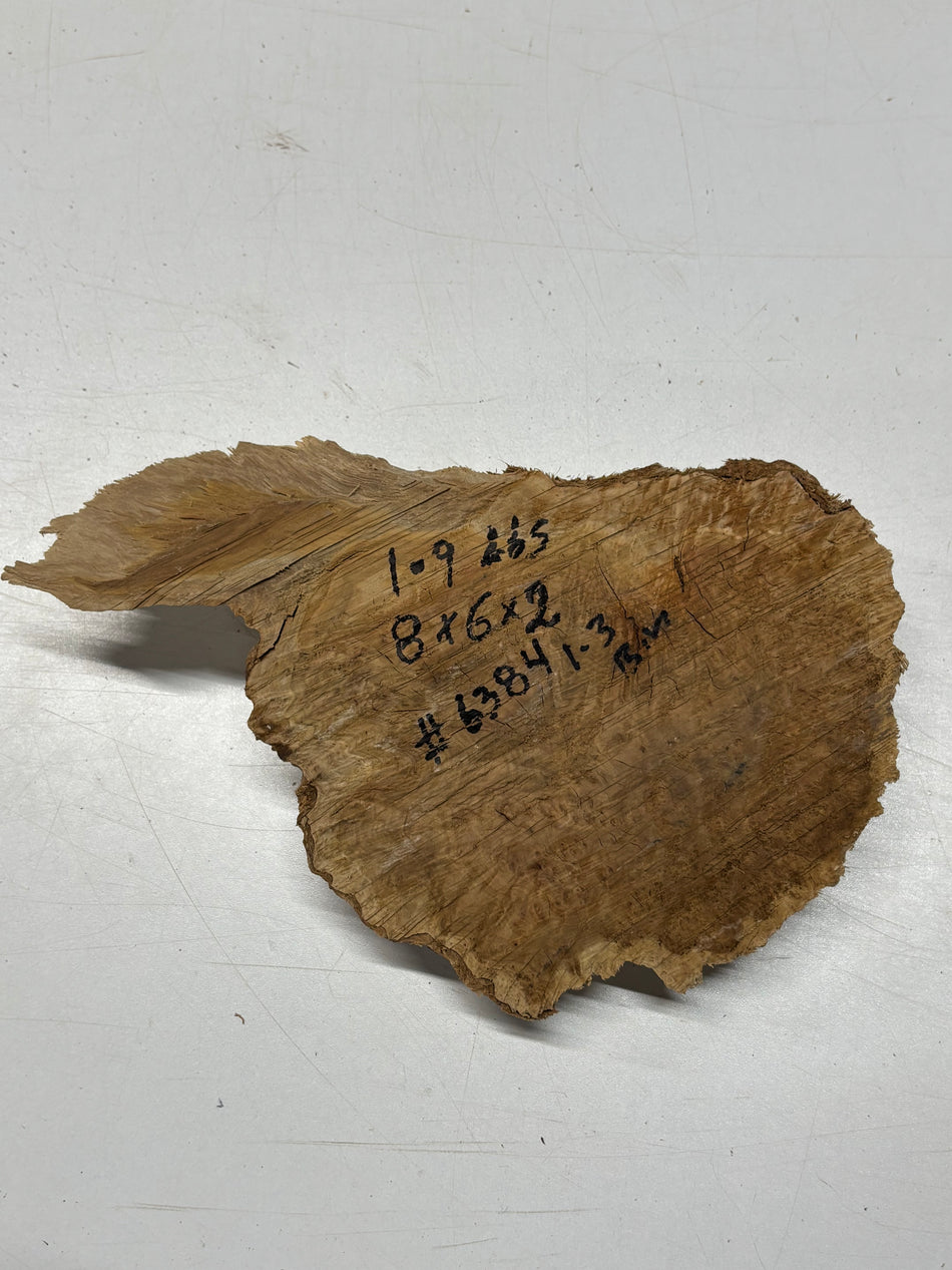 Brown Mallee Burl Blank 8" x 6" x 2" 1.9 Lbs #6384