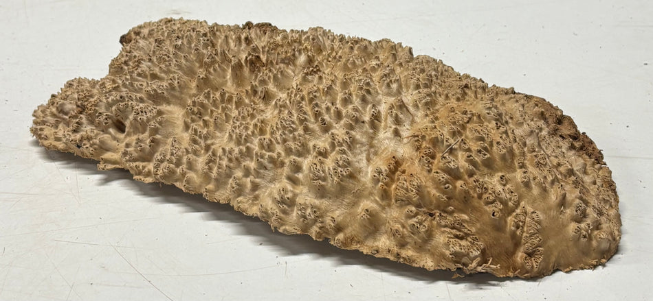 Brown Mallee Burl Blank 10" x 5" x 1" 1.8 Lbs #6385
