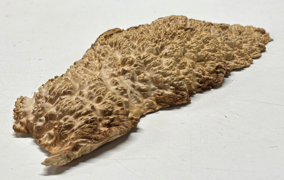 Brown Mallee Burl Blank 16" x 7" x 2" 4.3 Lbs #6386