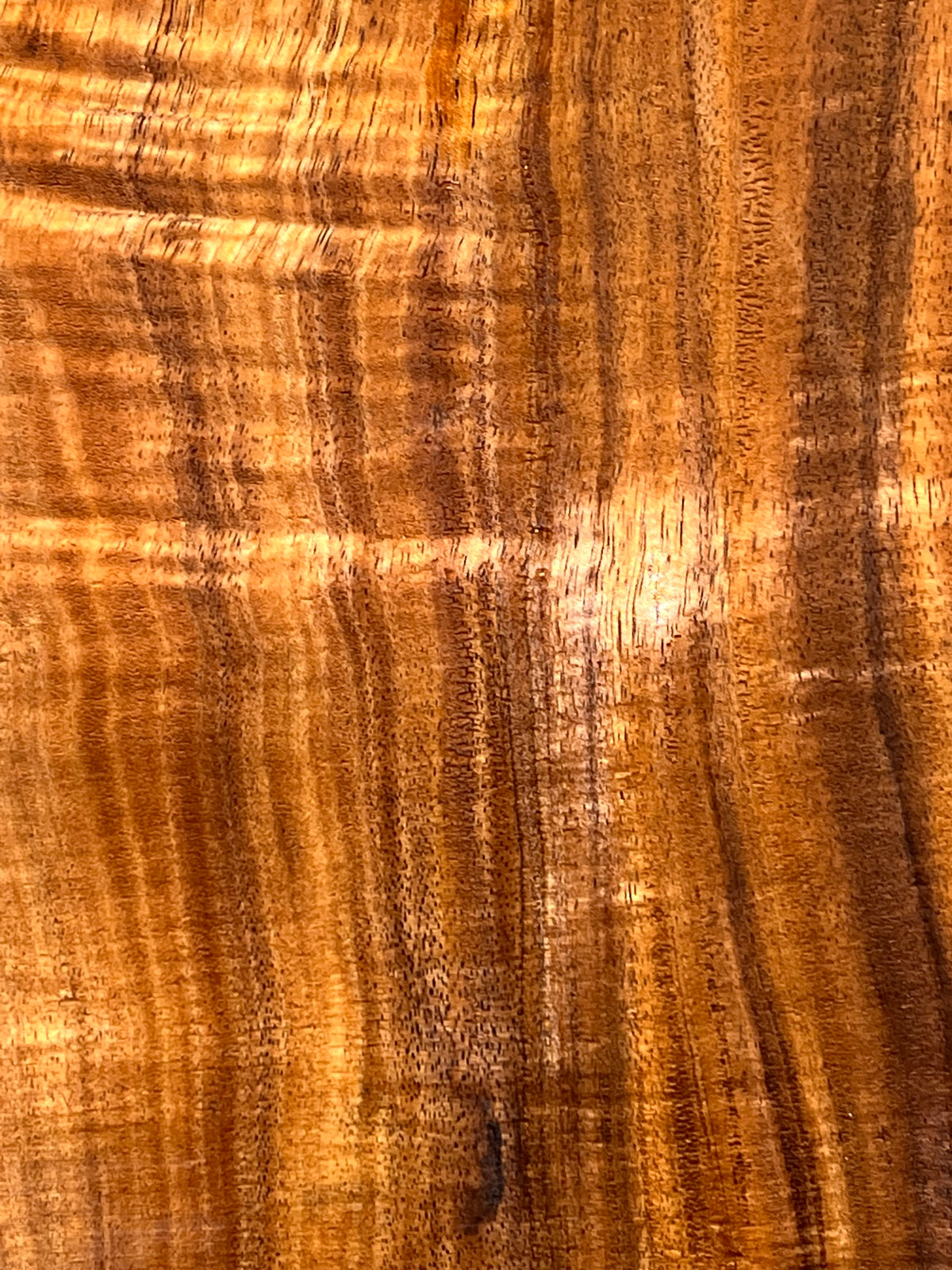 Curly Flame Hawaiian Koa Bookmatched Guitar Drop Tops 21" x 7-1/4" x 3/8" #163 - Exotic Wood Zone - Buy online Across USA 