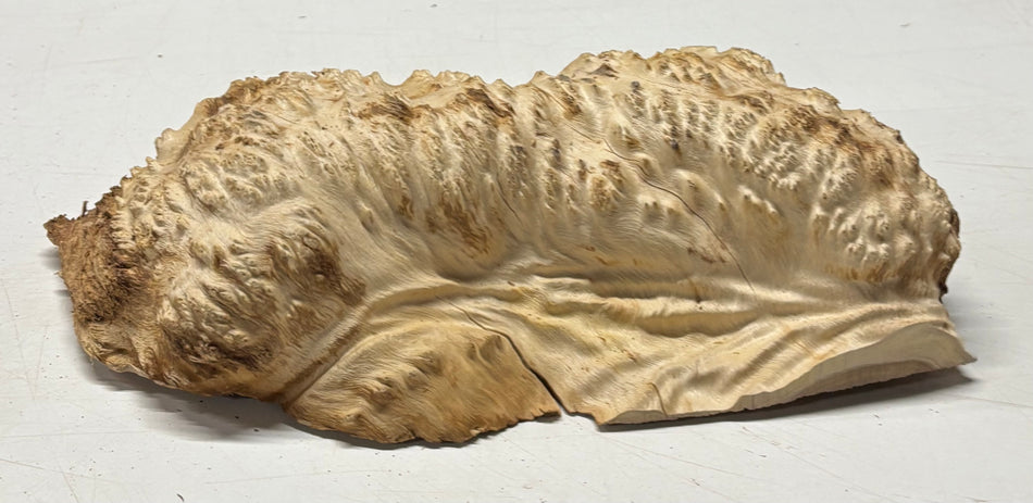 Brown Mallee Burl Blank 11" x 7" x 3" 3.7 Lbs #6400
