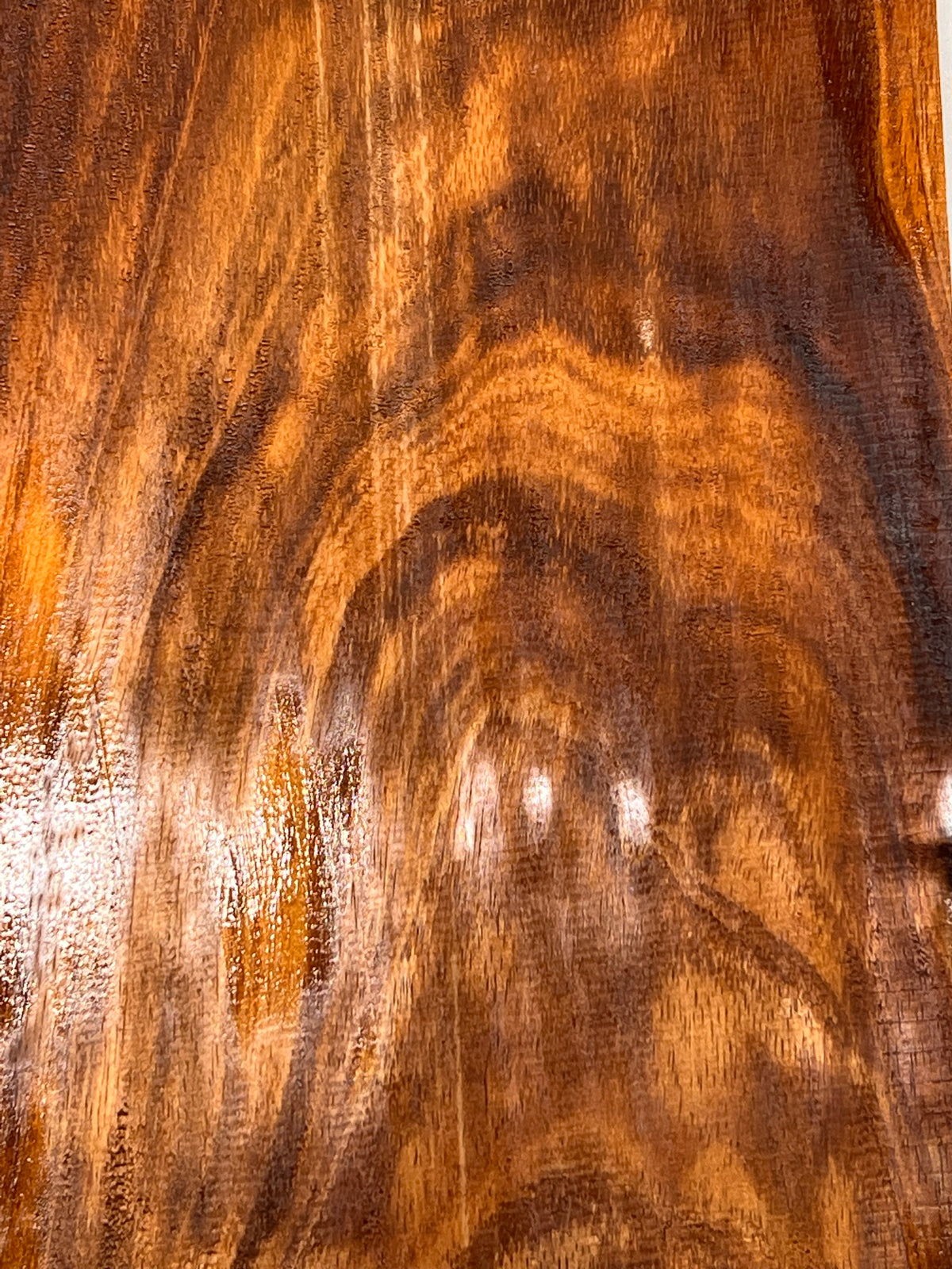 Curly Flame Hawaiian Koa Bookmatched Guitar Drop Tops 21" x 7-1/4" x 3/8" #172 - Exotic Wood Zone - Buy online Across USA 