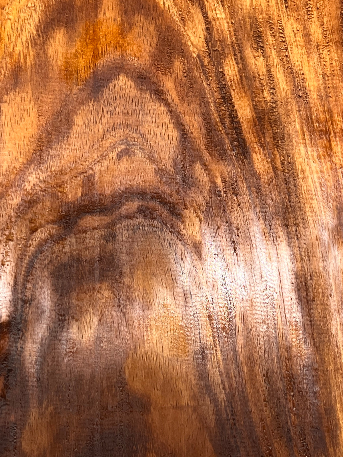 Curly Flame Hawaiian Koa Bookmatched Guitar Drop Tops 21" x 7-1/4" x 3/8" #173 - Exotic Wood Zone - Buy online Across USA 