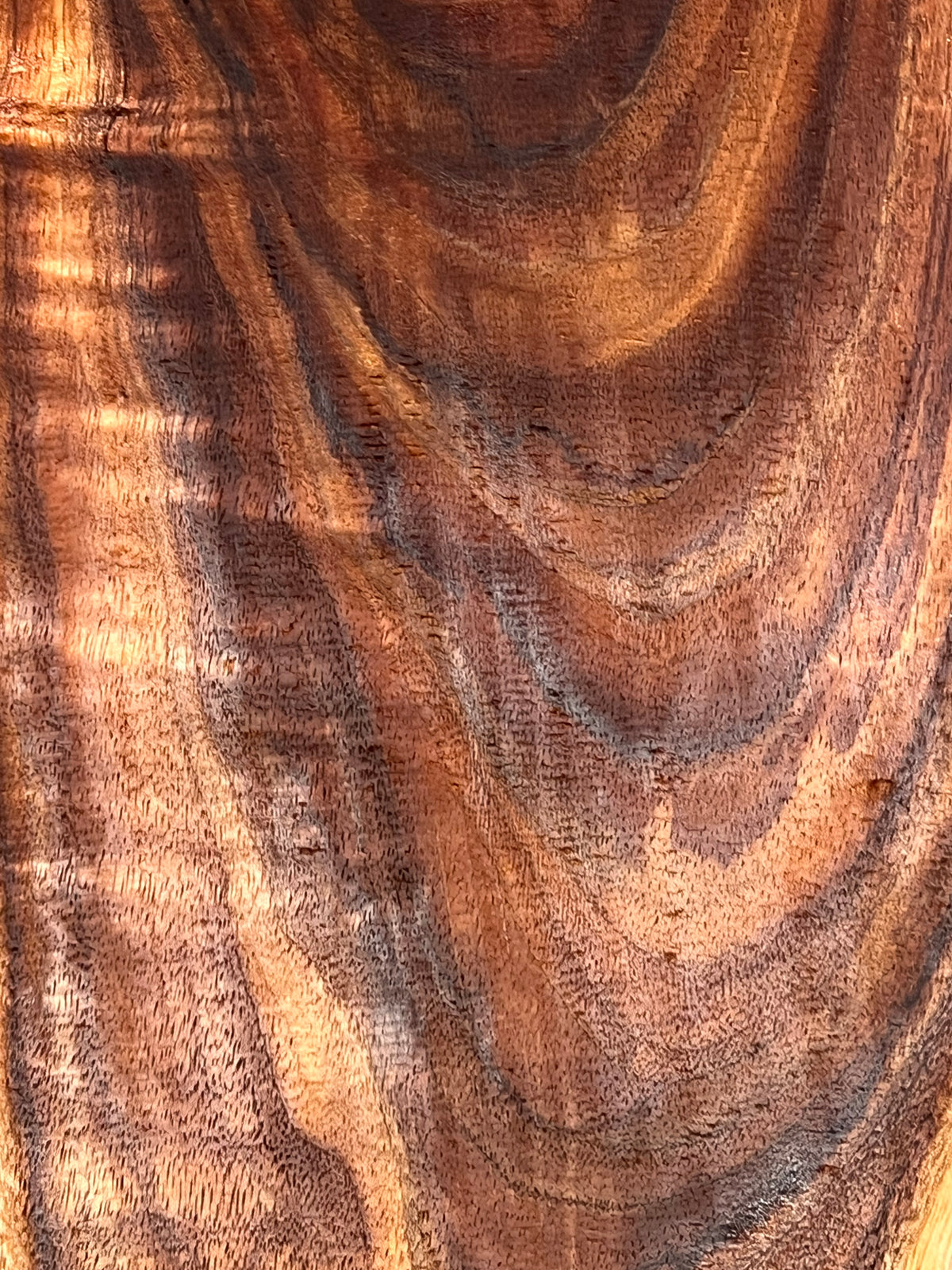 Curly Flame Hawaiian Koa Bookmatched Guitar Drop Tops 21" x 7-1/4" x 3/8" #175 - Exotic Wood Zone - Buy online Across USA 