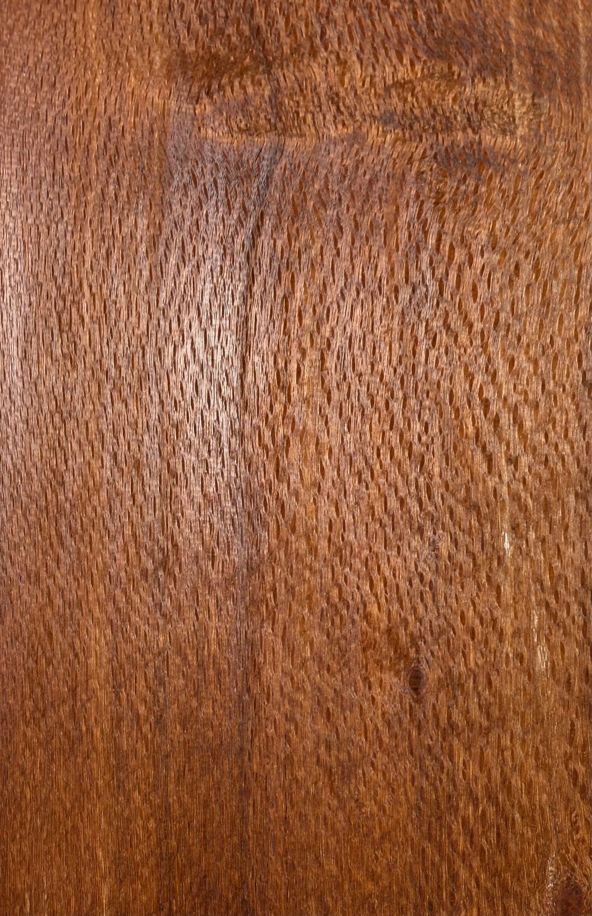 Leopardwood Guitar Drop Top - 21-1/4" x 7-1/8" x 3/8" #2010 Exotic Wood Zone 