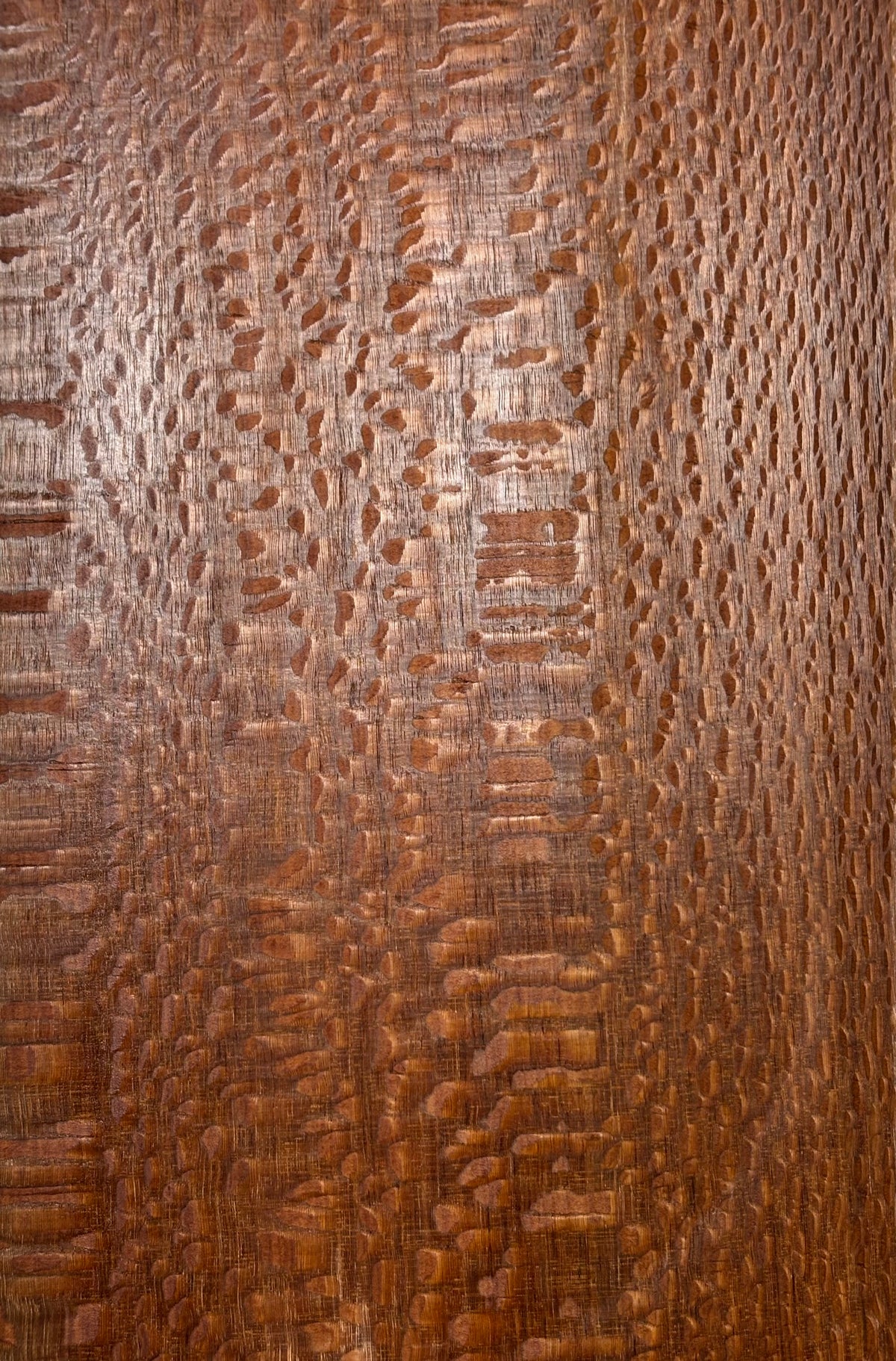 Leopardwood Guitar Drop Top - 21-1/4" x 7-1/8" x 3/8" #2012 Exotic Wood Zone 