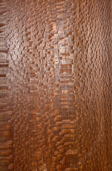 Leopardwood Guitar Drop Top - 21-1/4" x 7-1/8" x 3/8" #2012 Exotic Wood Zone 