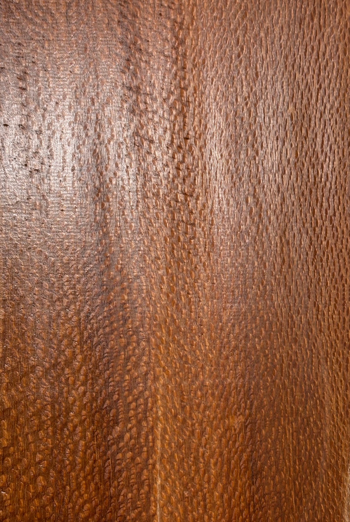 Leopardwood Guitar Drop Top - 21-1/4" x 7-1/8" x 3/8" #2014 Exotic Wood Zone 