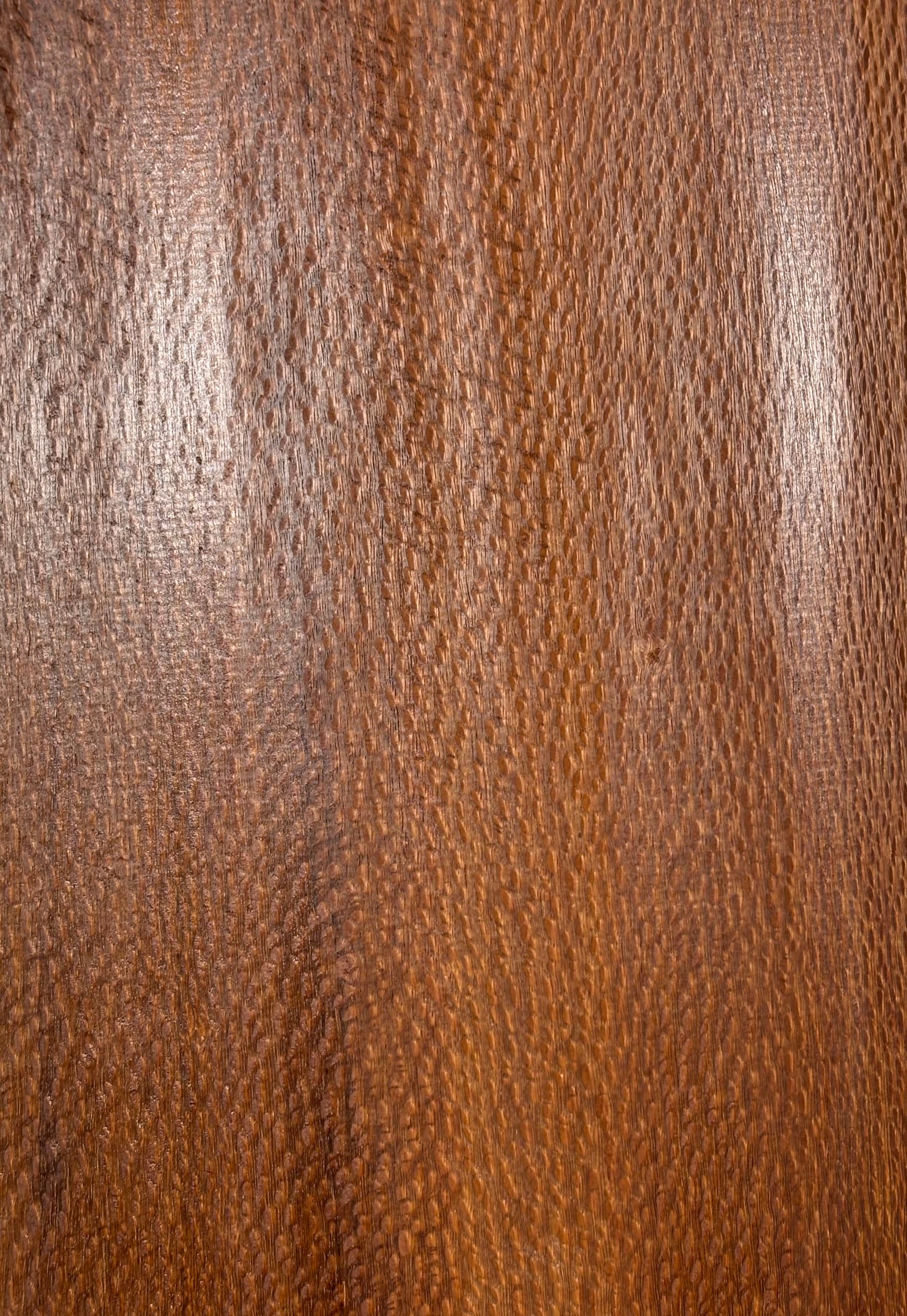 Leopardwood Guitar Drop Top - 21-1/4" x 7-1/8" x 3/8" #2015 Exotic Wood Zone 