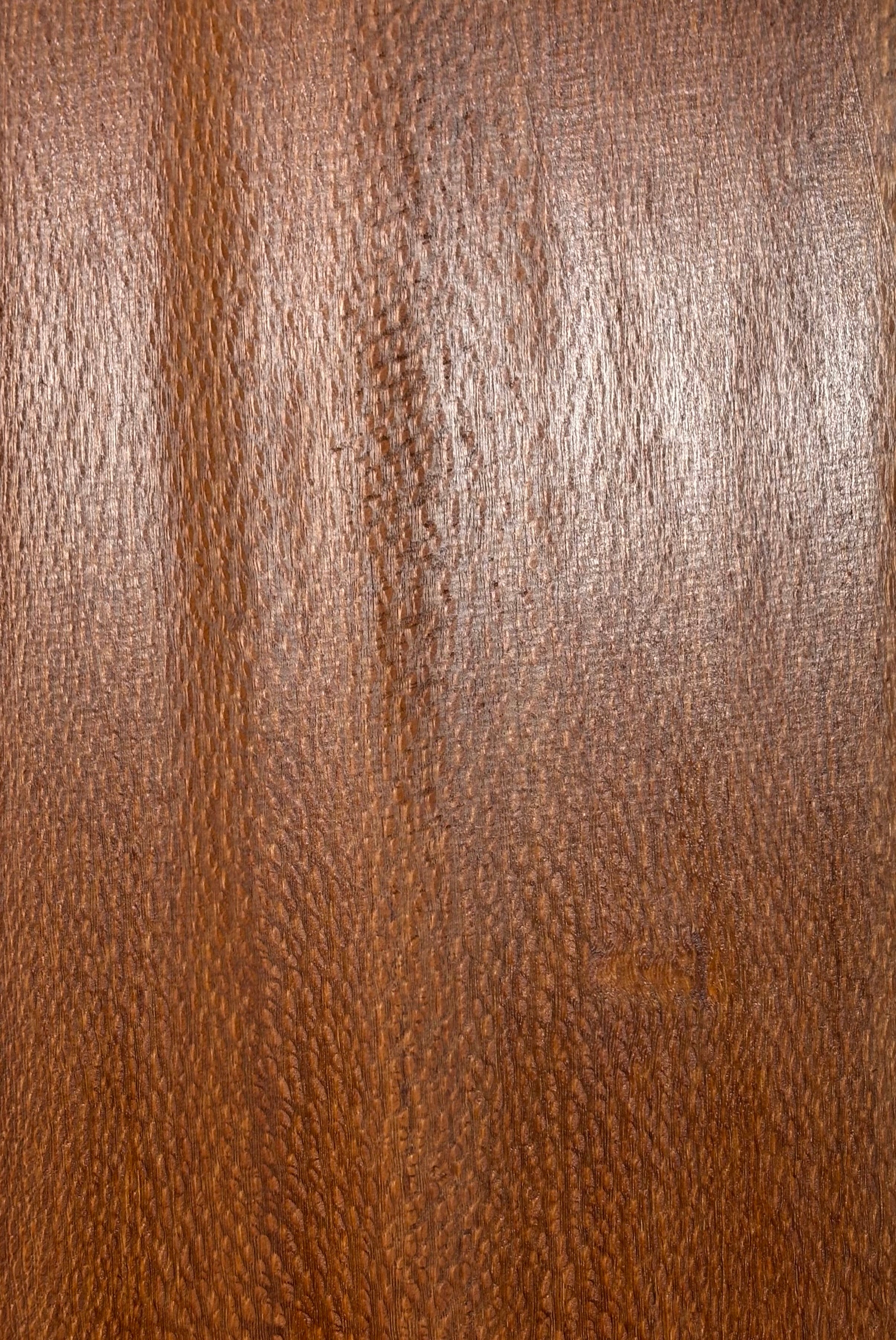 Leopardwood Guitar Drop Top - 21-1/4" x 7-1/8" x 3/8" #2017 Exotic Wood Zone 