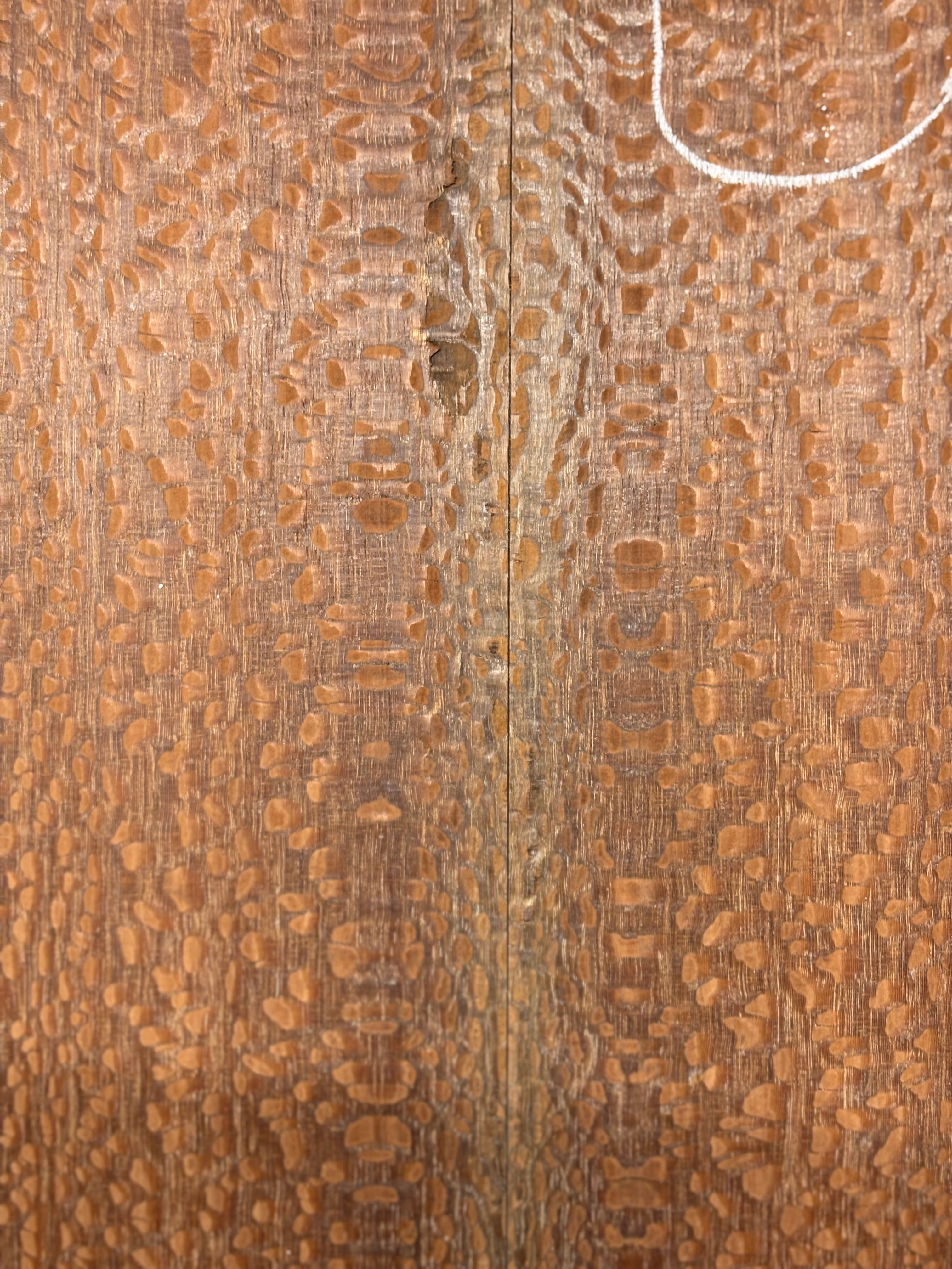 Leopardwood Guitar Drop Top - 21-1/4" x 7-1/8" x 3/8" #2021 Exotic Wood Zone 