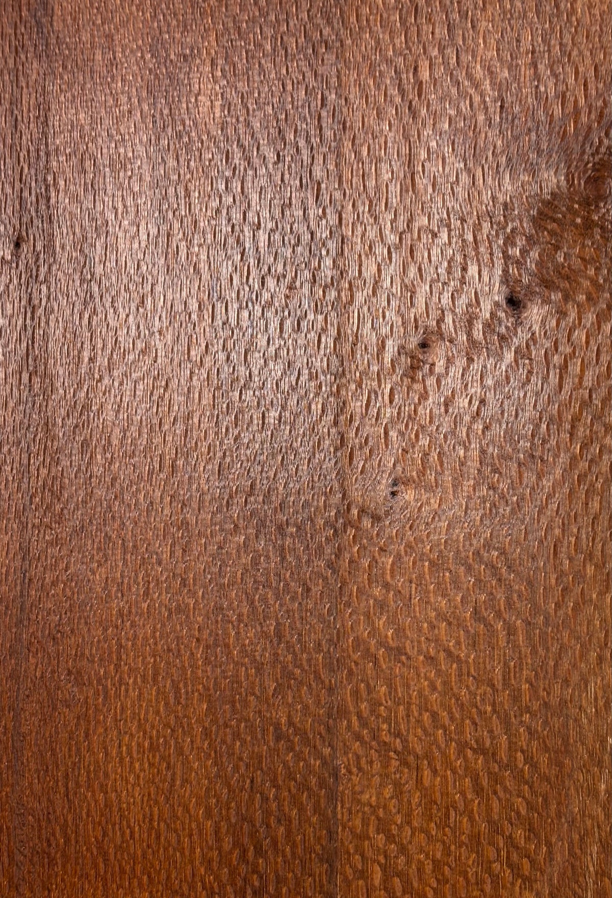 Leopardwood Guitar Drop Top - 21-1/4" x 7-1/8" x 3/8" #2024 Exotic Wood Zone 