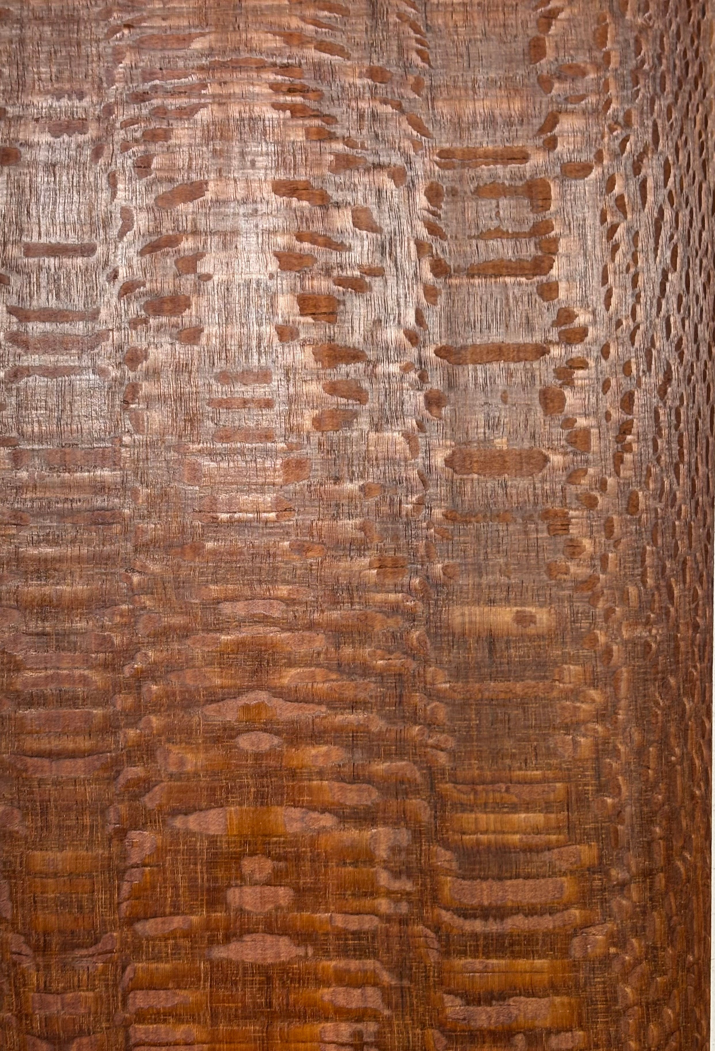 Leopardwood Guitar Drop Top - 21-1/4" x 7-1/8" x 3/8" #2025 Exotic Wood Zone 