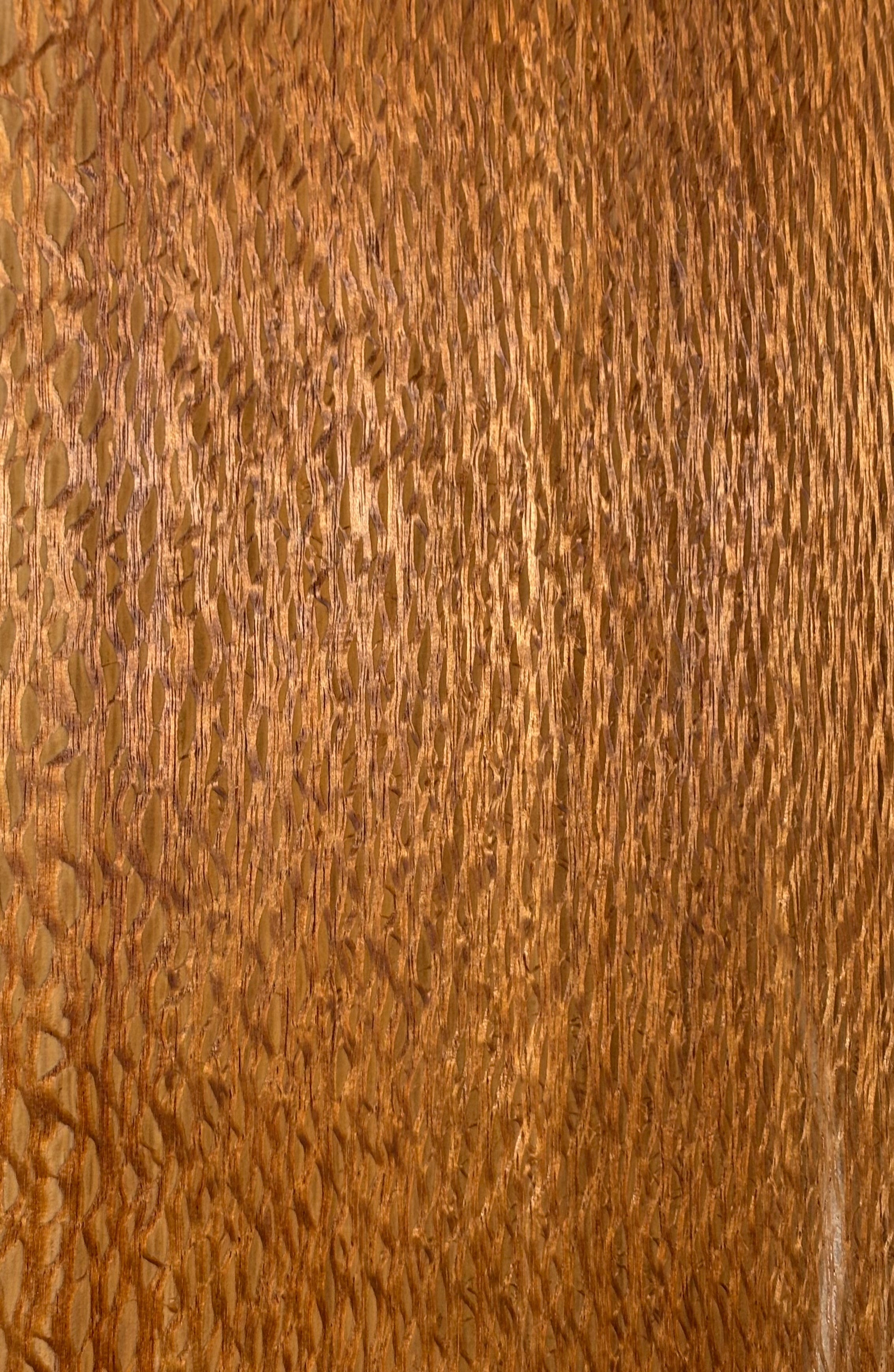 Lacewood Guitar Drop Top - 21-1/4" x 7-1/8" x 1/4" #3004 Exotic Wood Zone 