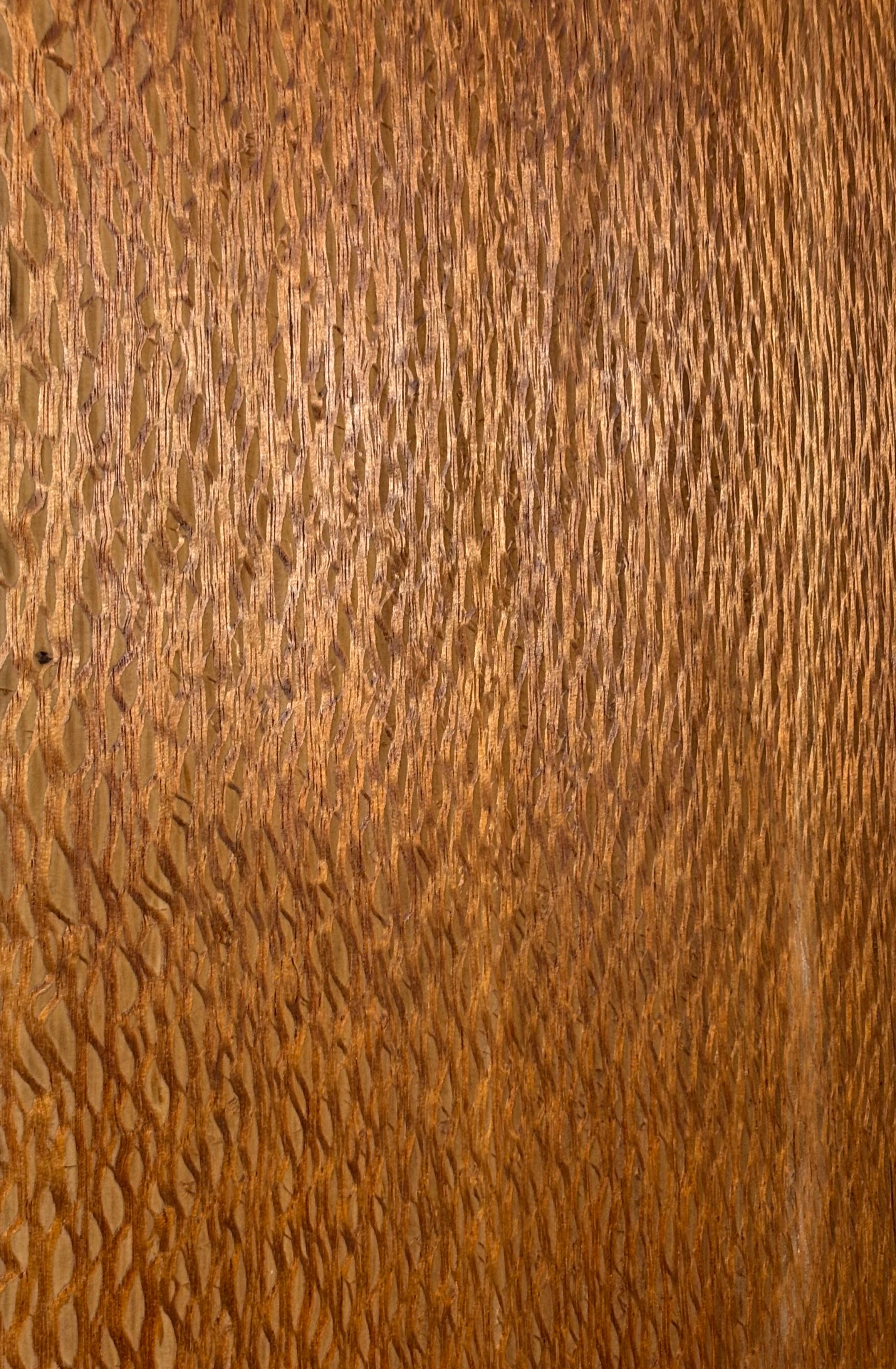 Lacewood Guitar Drop Top - 21-1/4" x 7-1/8" x 1/4" #3005 Exotic Wood Zone 