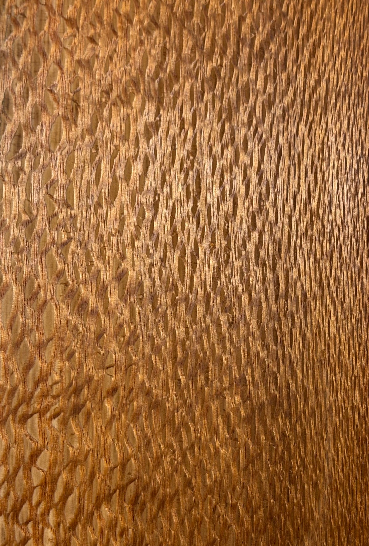 Lacewood Guitar Drop Top - 21-1/4" x 7-1/8" x 1/4" #3006 Exotic Wood Zone 