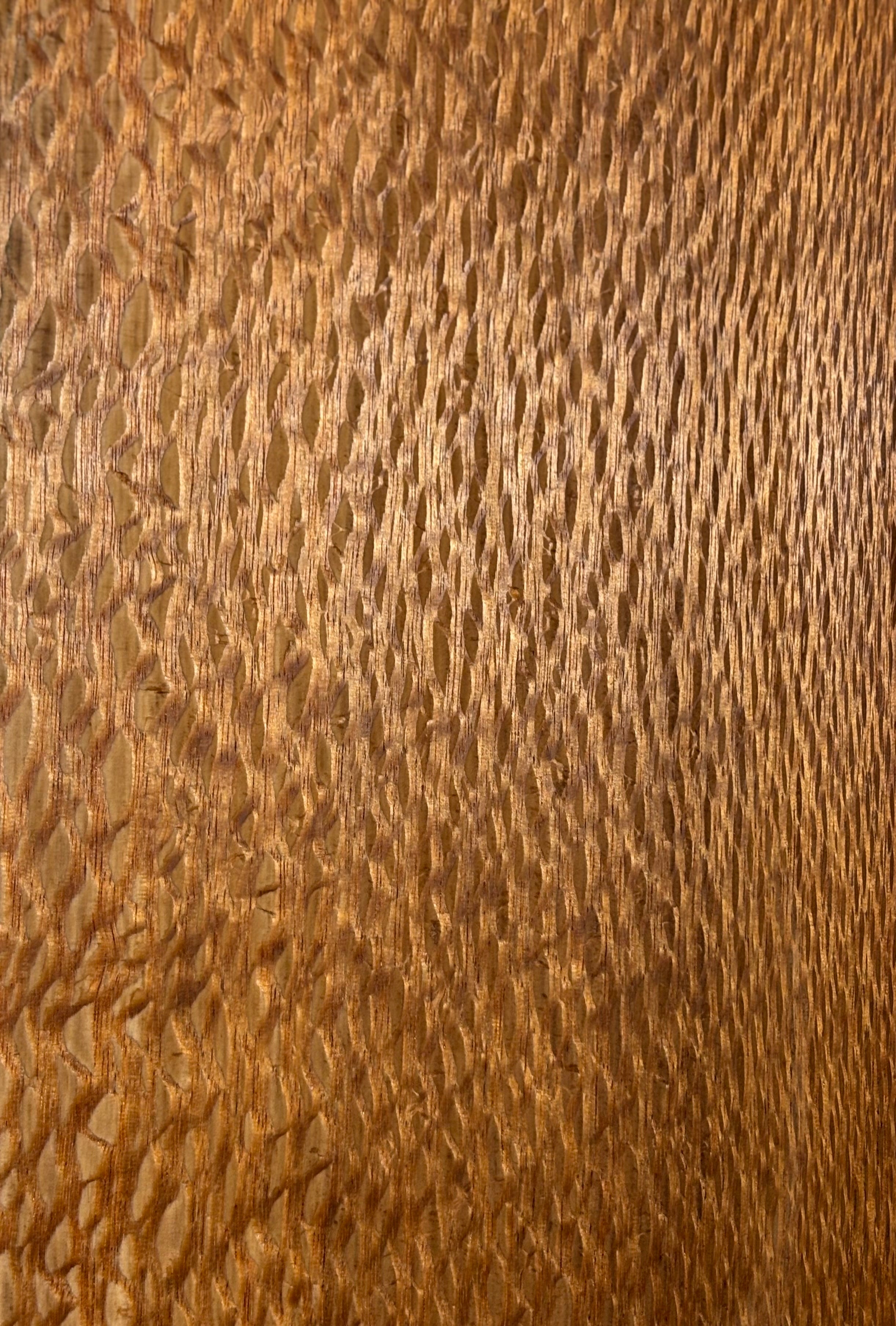 Lacewood Guitar Drop Top - 21-1/4" x 7-1/8" x 1/4" #3006 Exotic Wood Zone 