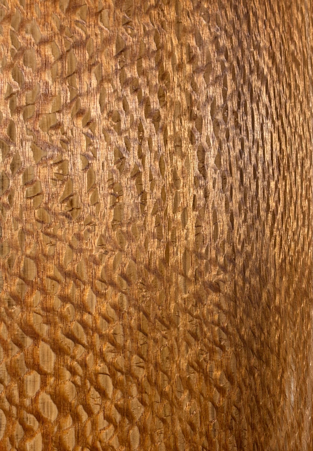 Lacewood Guitar Drop Top - 21-1/4" x 7-1/8" x 1/4" #3007 Exotic Wood Zone 