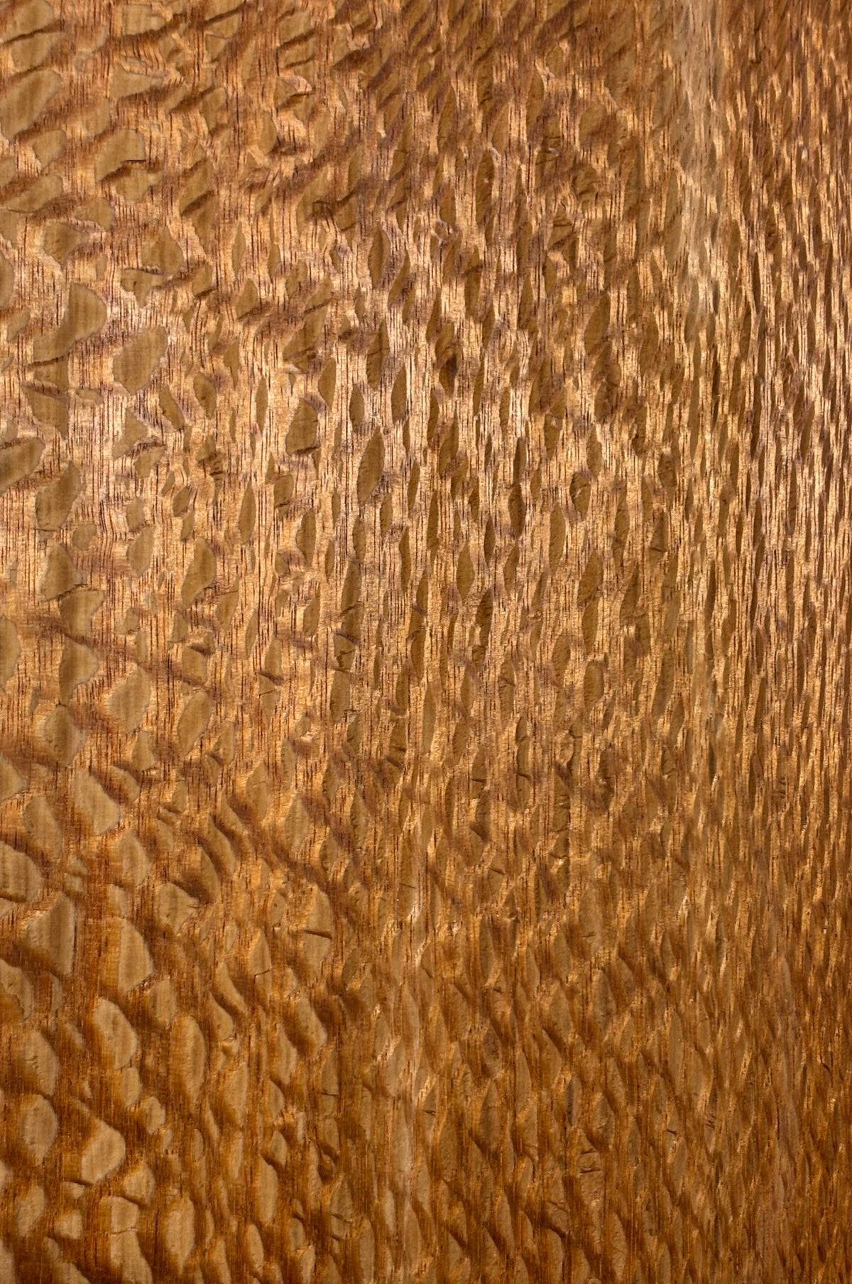 Lacewood Guitar Drop Top - 21-1/4" x 7-1/8" x 1/4" #3008 Exotic Wood Zone 