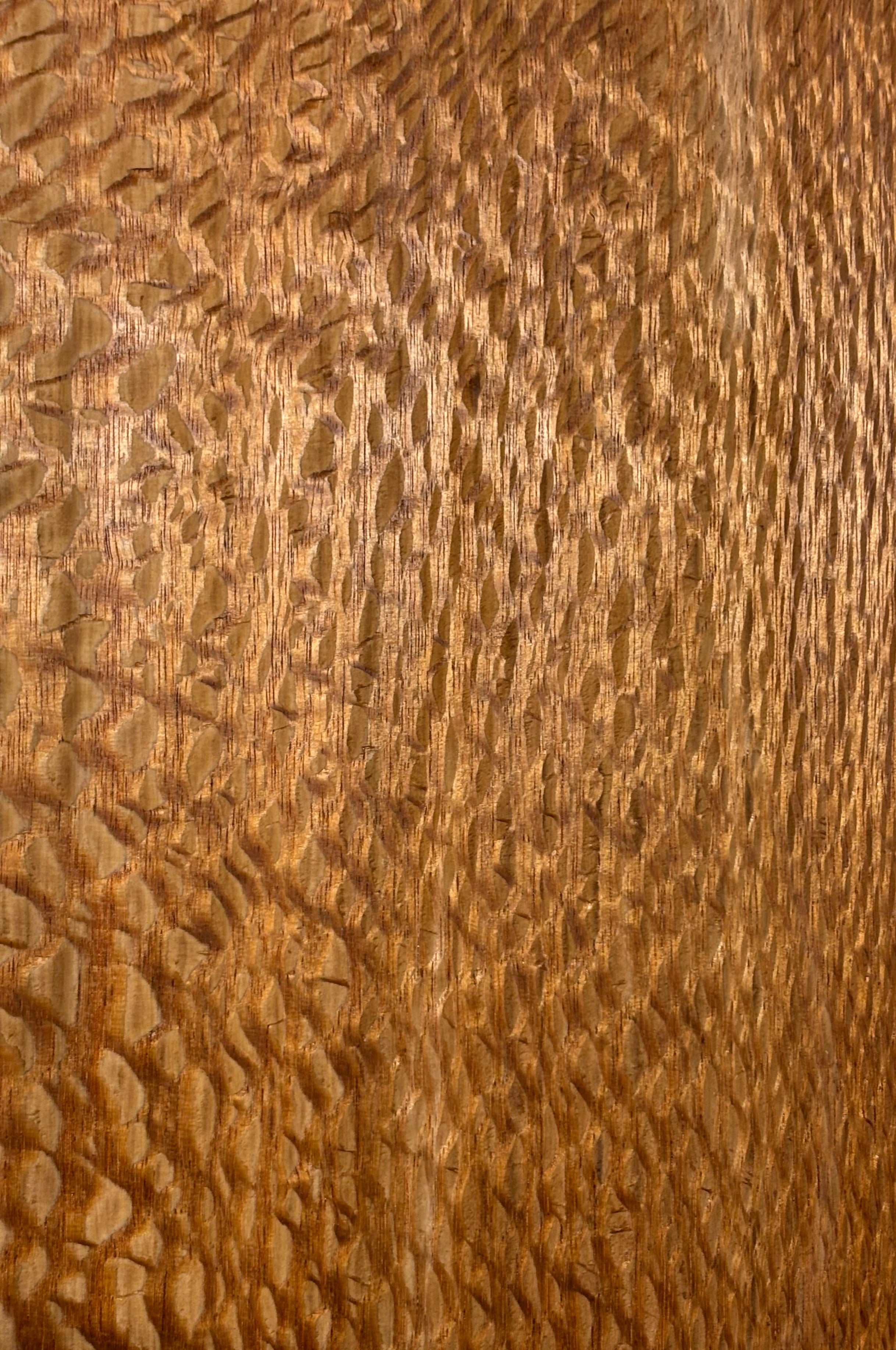 Lacewood Guitar Drop Top - 21-1/4" x 7-1/8" x 1/4" #3008 Exotic Wood Zone 