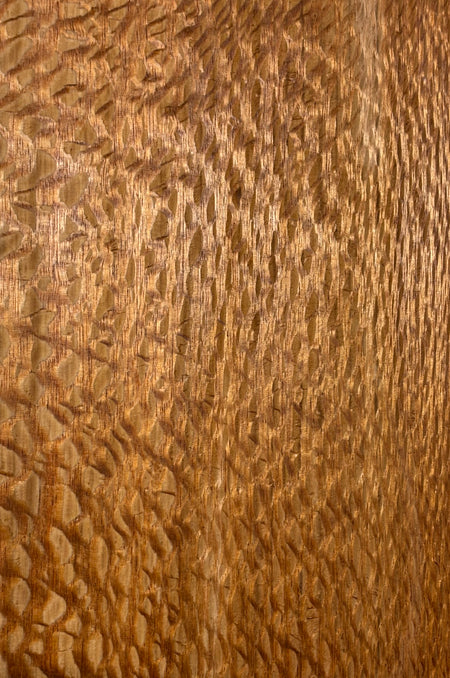 Lacewood Guitar Drop Top - 21-1/4" x 7-1/8" x 1/4" #3008 Exotic Wood Zone 