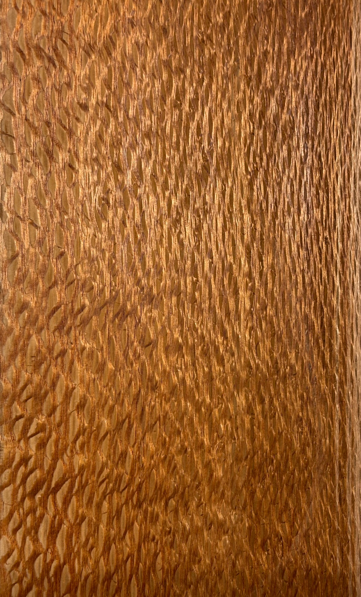 Lacewood Guitar Drop Top - 21-1/4" x 7-1/8" x 1/4" #3009 Exotic Wood Zone 