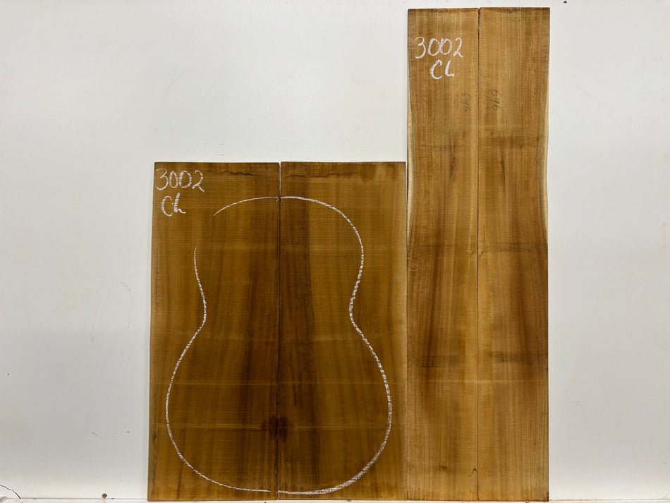 Juego de fondo y aros de guitarra de grado AAAA Dreadnought de palisandro de la India Oriental #61 