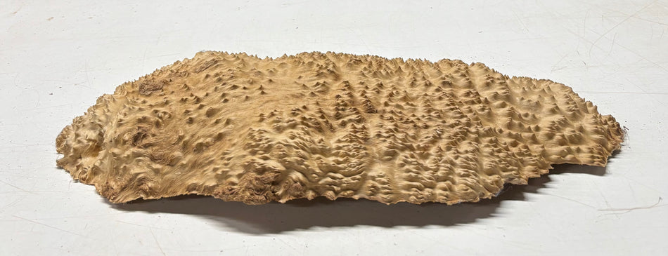 Brown Mallee Burl Blank 18.5" x 7" x 2" 5.2 Lbs #7002