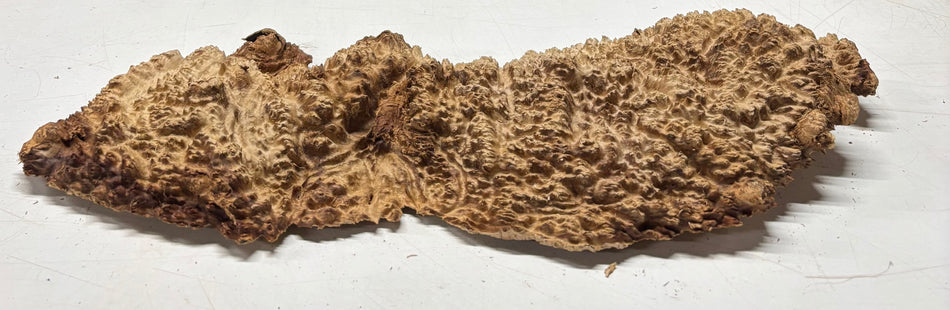 Brown Mallee Burl Blank 21" x 8" x 1" 5.1 Lbs #7007