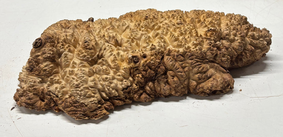 Brown Mallee Burl Blank 14" x 8" x 2" 7.8 Lbs #7009