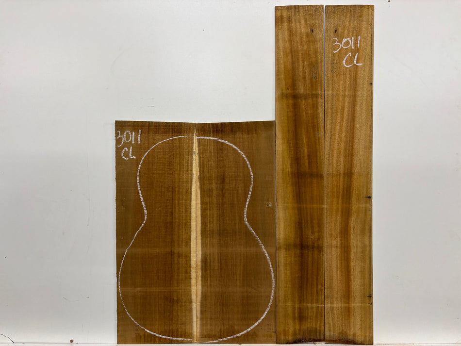 Juego de fondo y aros de guitarra de grado AAAA Dreadnought de palisandro de la India Oriental #61 