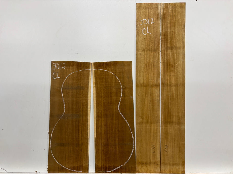 Juego de fondo y aros de guitarra de grado AAAA Dreadnought de palisandro de la India Oriental #61 