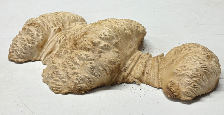 Brown Mallee Burl Blank 17" x 10" x 3" 5.5 Lbs #7021