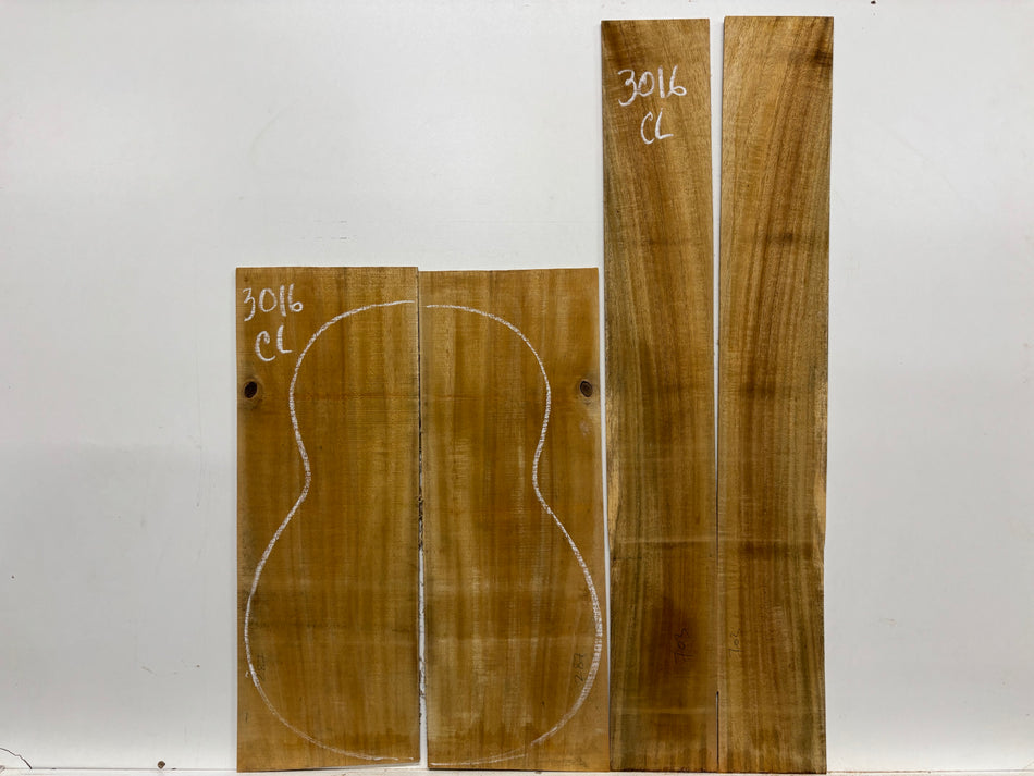 Juego de fondo y aros de guitarra de grado AAAA Dreadnought de palisandro de la India Oriental #61 