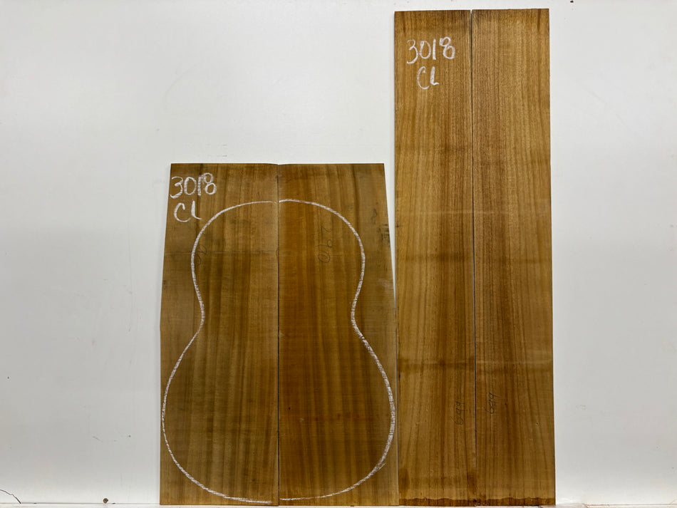 Juego de fondo y aros de guitarra de grado AAAA Dreadnought de palisandro de la India Oriental #61 