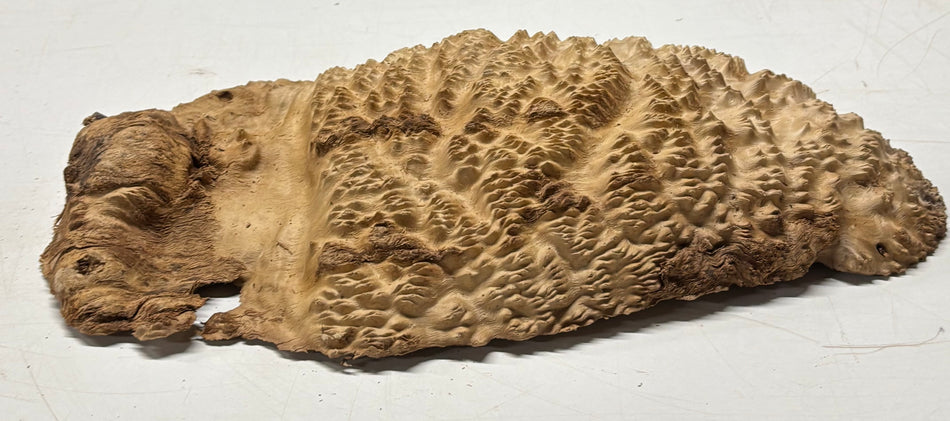 Brown Mallee Burl Blank 15" x 7" x 3" 5.2 Lbs #7028