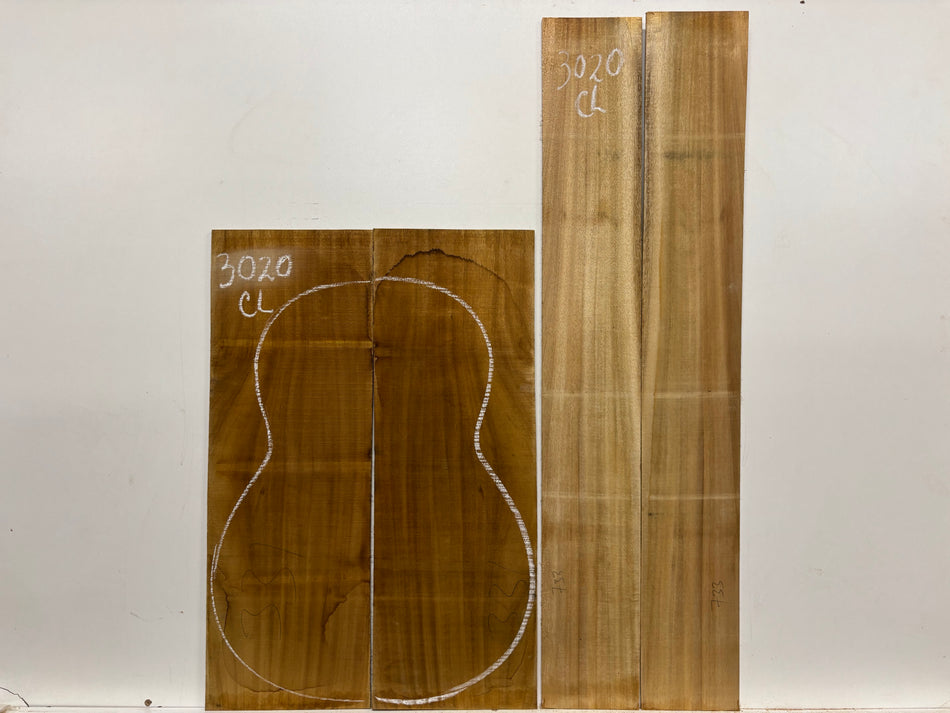 Juego de fondo y aros de guitarra de grado AAAA Dreadnought de palisandro de la India Oriental #61 