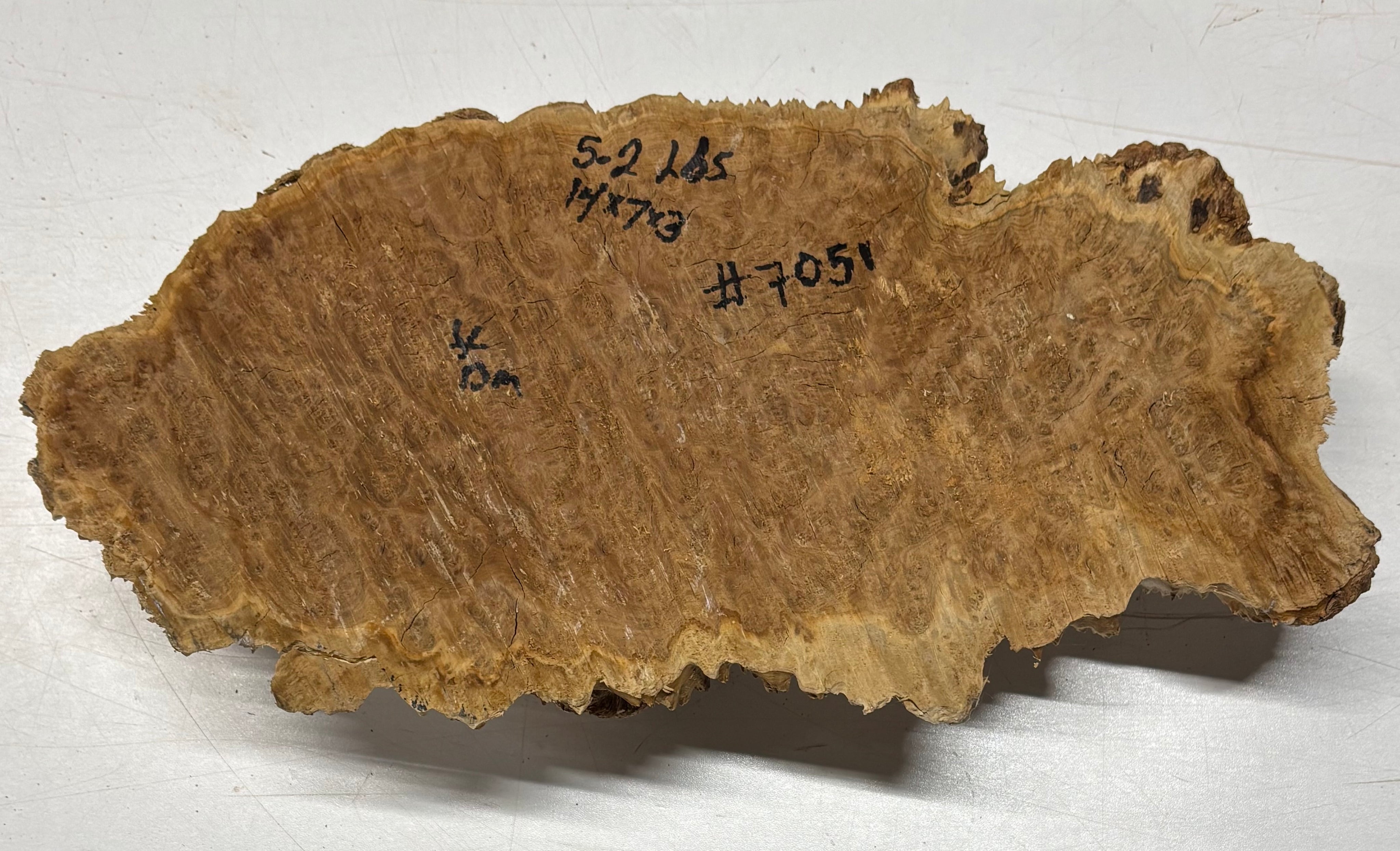 Brown Mallee Burl Cap 14" x 7" x 3" 5.2 Lbs #7051 - Exotic Wood Zone