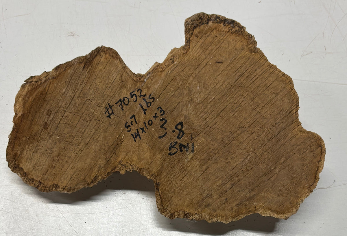 Brown Mallee Burl Cap 14" x 10" x 3" 5.7 Lbs #7052 - Exotic Wood Zone