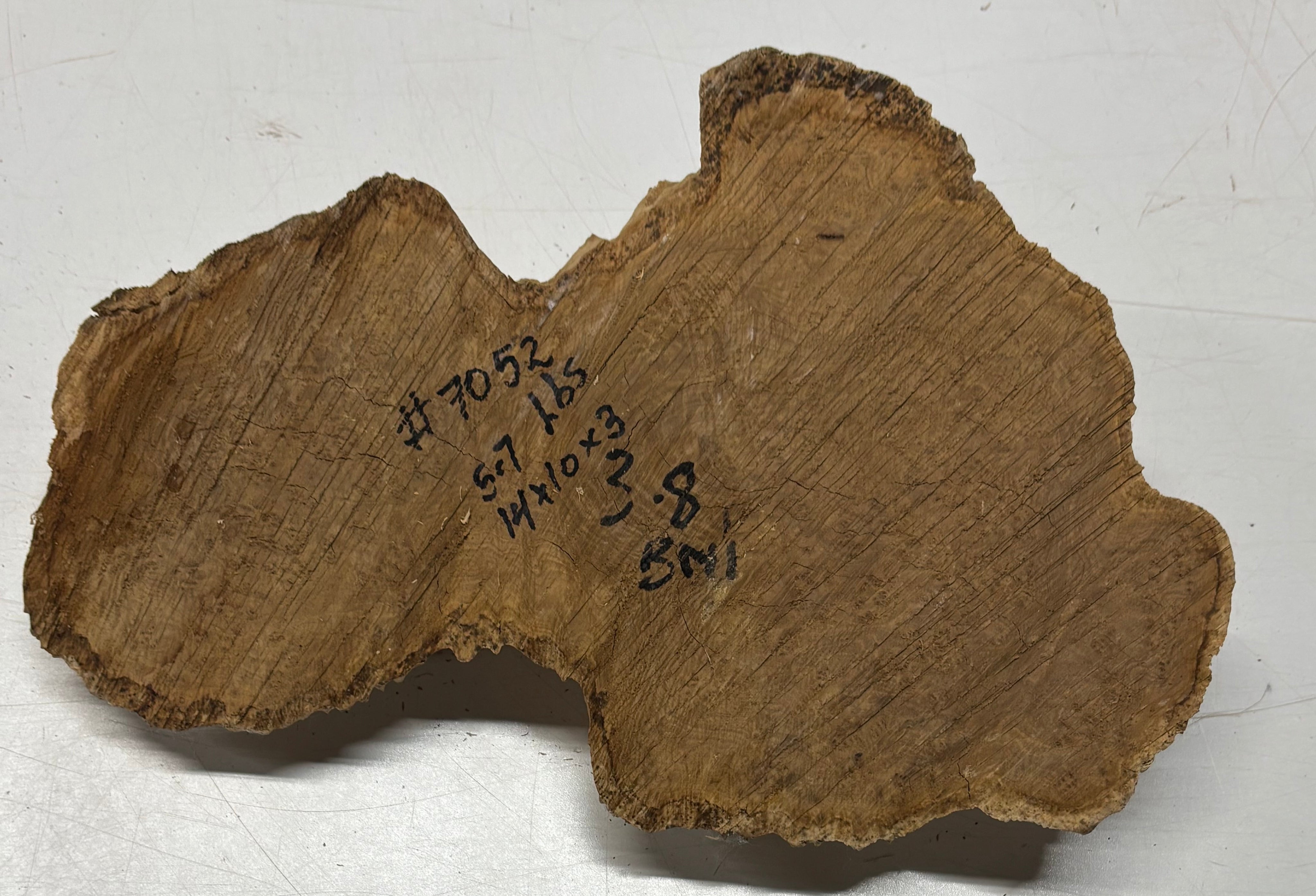 Brown Mallee Burl Cap 14" x 10" x 3" 5.7 Lbs #7052 - Exotic Wood Zone